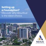 The Mauritius Foundation: characteristics and uses in 2025